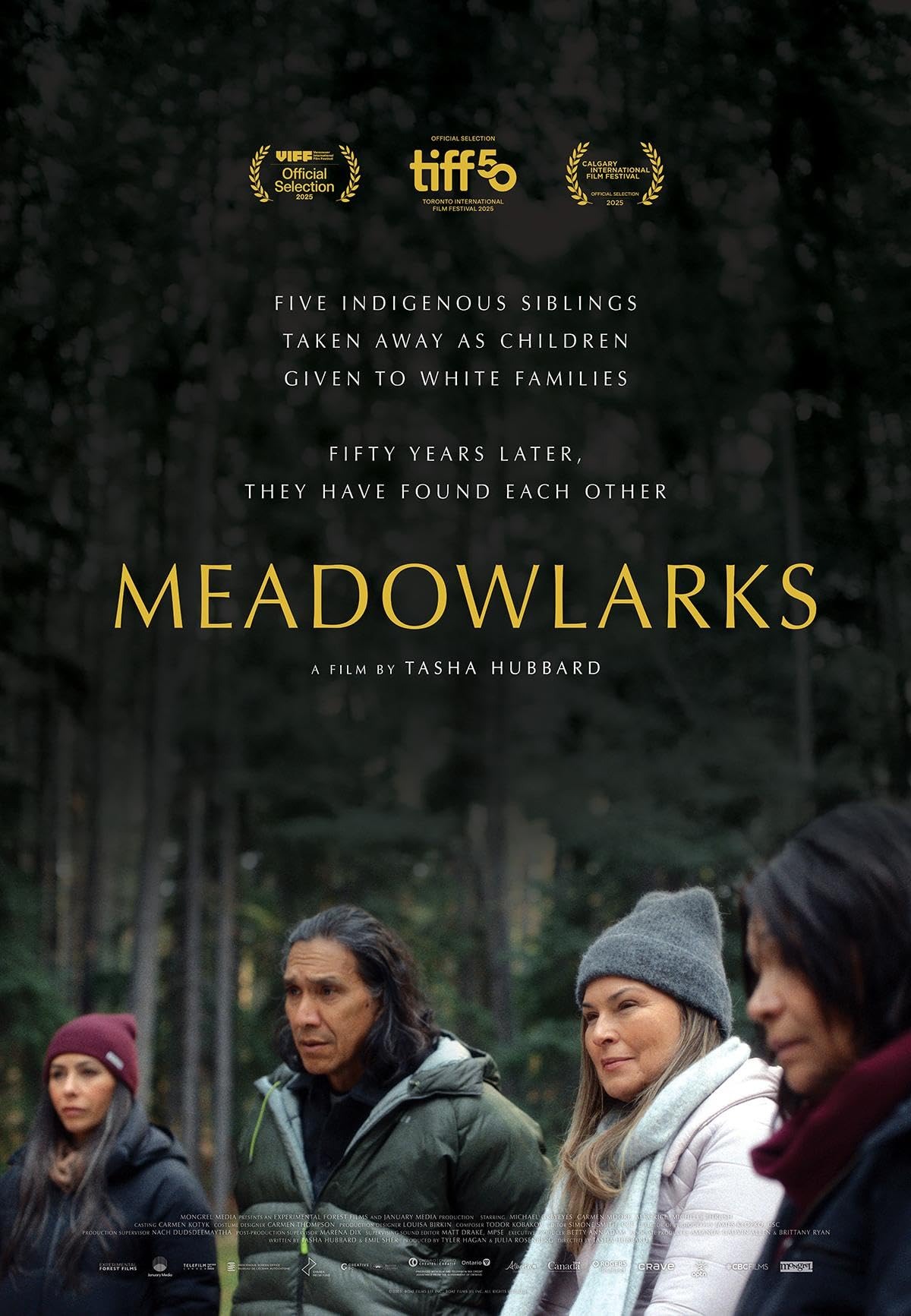 Meadowlarks