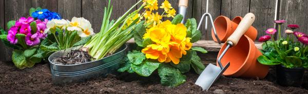 Image for event: Smart Solutions for Busy Gardeners With Sheila Bonneteau