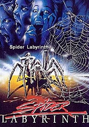 Image for event: Spider Labyrinth